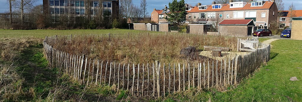 Das Bild zeigt einen umzäunten Tiny Forest ein Jahr nach der Pflanzung. Der Tiny Forest wurde auf einer großen Wiese angepflanzt. Im Hintergrund sind verschiedene Wohngebäude zu sehen.