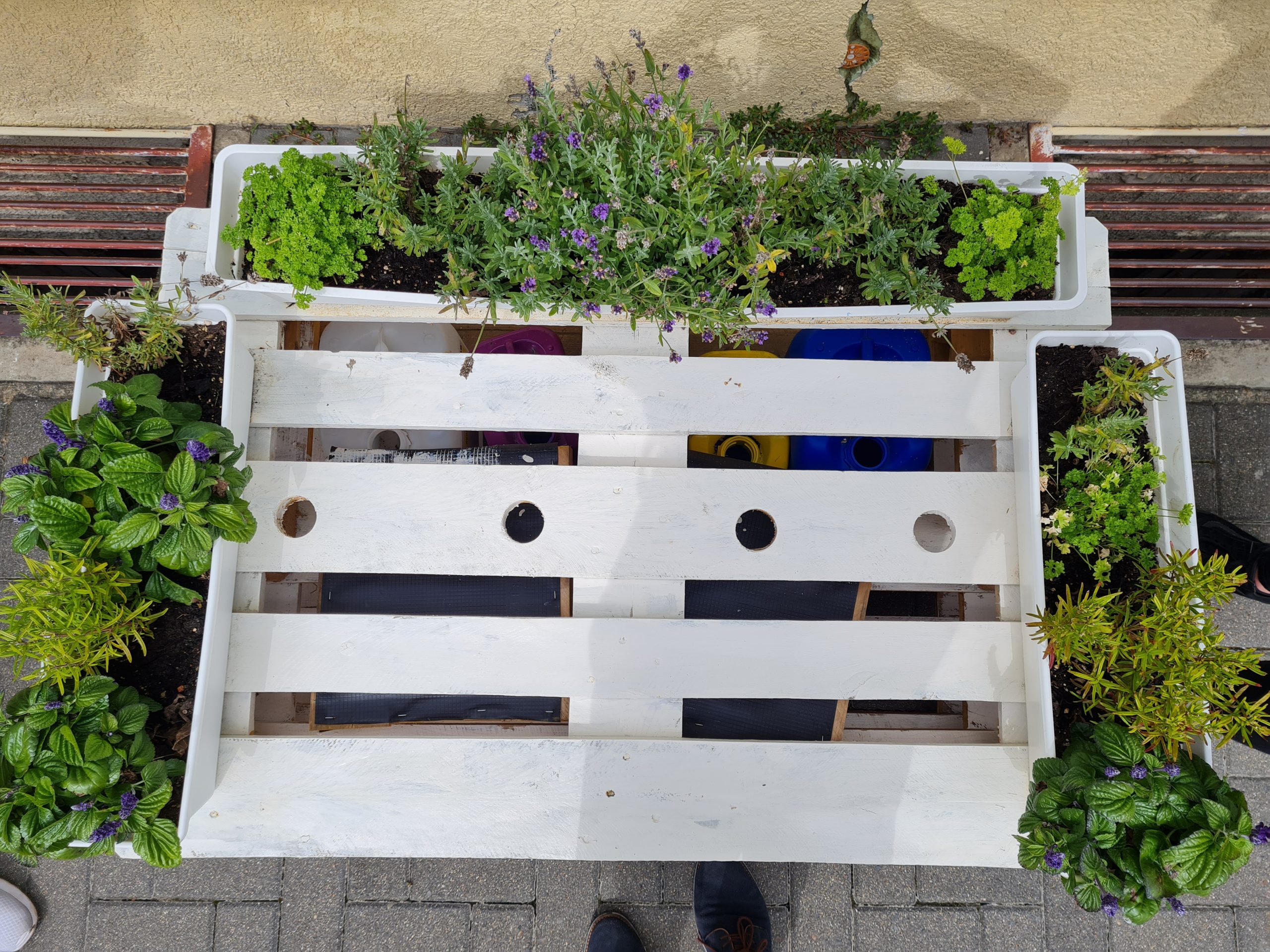 Das Bild zeigt eine alternative Regenbank von oben. Sie ist weiß angestrichen und hat Hochbeete in Form von bepflanzten Balkonkästen an den Seiten und anstelle der Lehne.