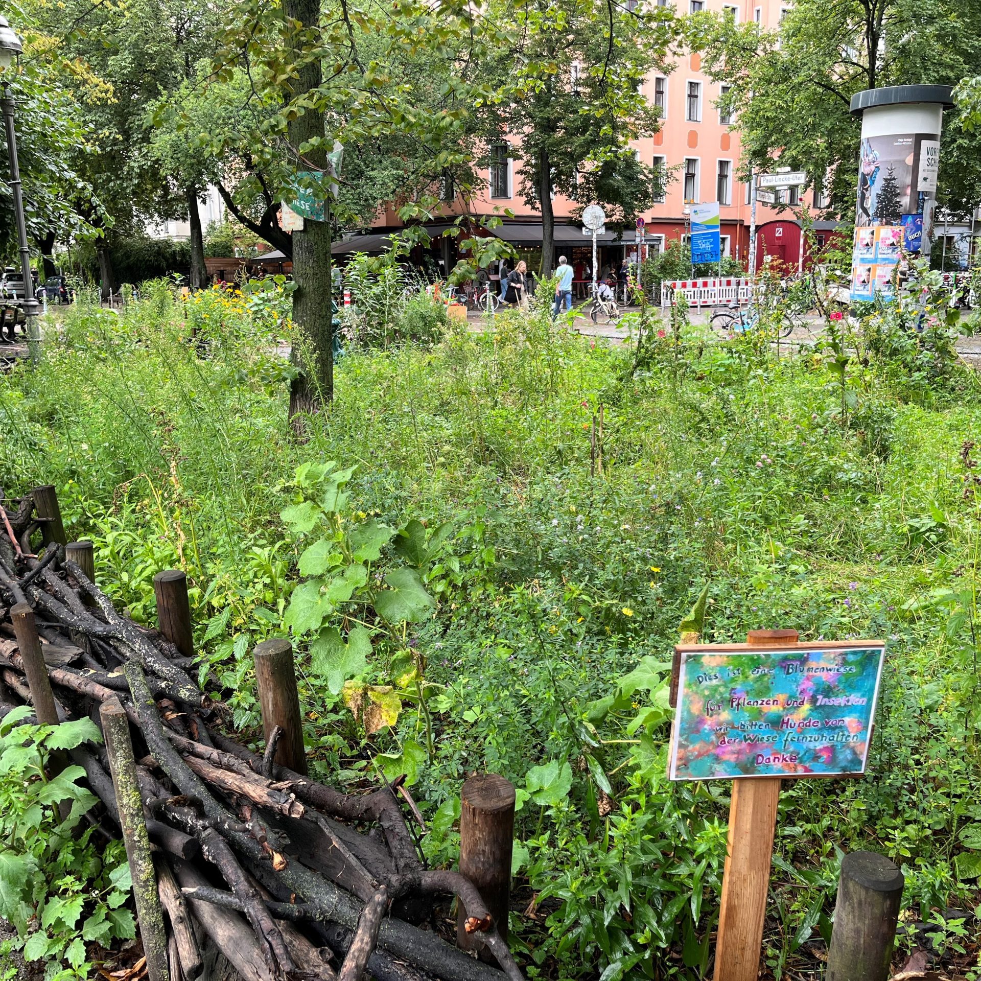 Das Bild zeigt eine Blumenwiese auf einer kleinen begrünten Fläche in Berlin. Die Blumenwiese wird von einer Totholzhecke umrahmt.