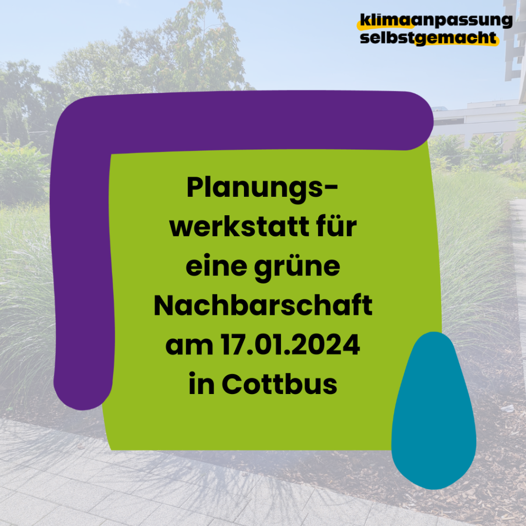 Zu sehen ist ein Sharepic, das über die Planungswerkstatt für eine grüne Nachbarschaft am 17.01.2024 in Cottbus informiert. Die Veranstaltung ist Teil des Projektes "Klimaanpassung selbstgemacht".